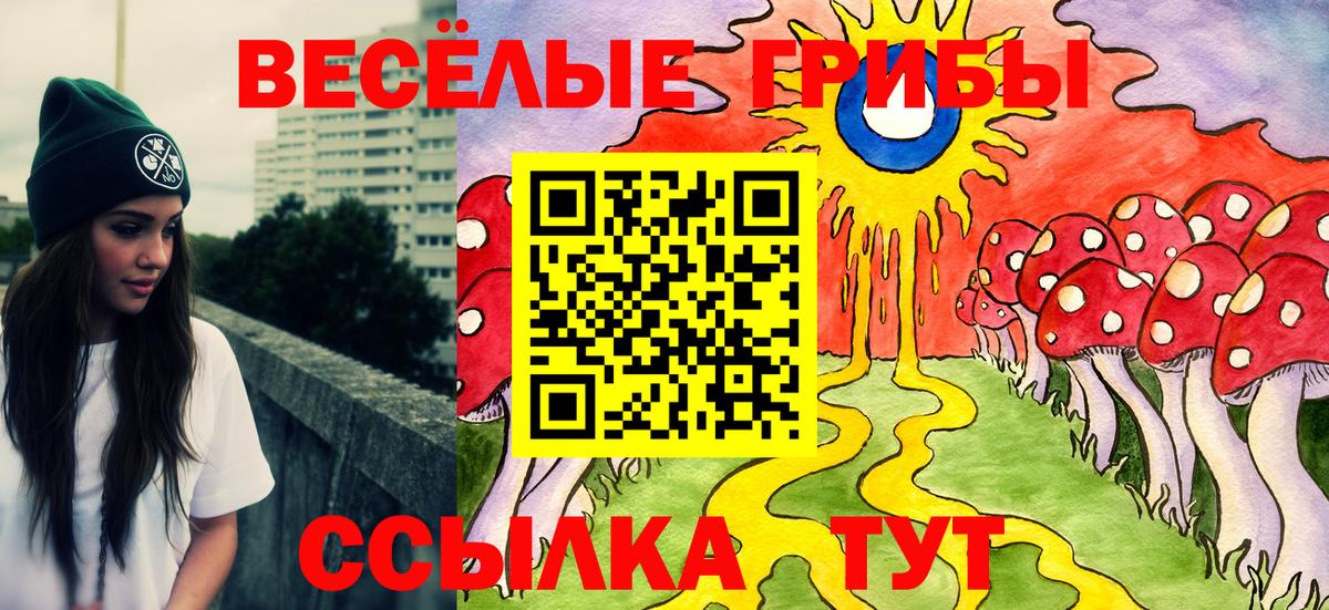 Галлюциногенные грибы Magic Shrooms Волгодонск